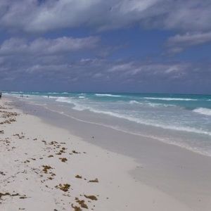 Meet your Posher, Laurianne